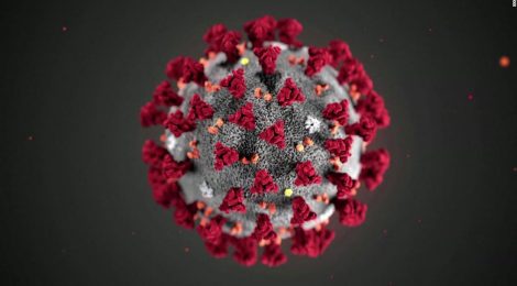 Useful info about COVID-19 (Coronavirus)